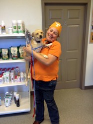 Dr. Tracy Williams holds a female dog at Three Trees Veterinary Hospital that was dropped off to be spayed