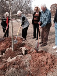 Members of the Lavonia Garden Club help plant a tree in Lavonia Memorial Park in April 2015