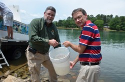  Ross Self (left), DNR freshwater fisheries chief, and state Rep. Davey Hiott of Pickens get ready to put the first bucket of striped bass fingerlings into Lake Hartwell.