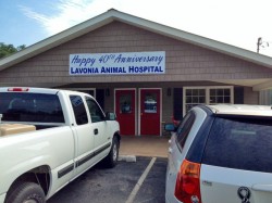Banner graces the exterior of Lavonia Animal Hospital Tuesday noting the practice's 40 years in business.