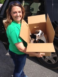 Shelter Director Sheri Lockhart arrives at the shelter with the stolen puppies after they were found Thursday morning. 