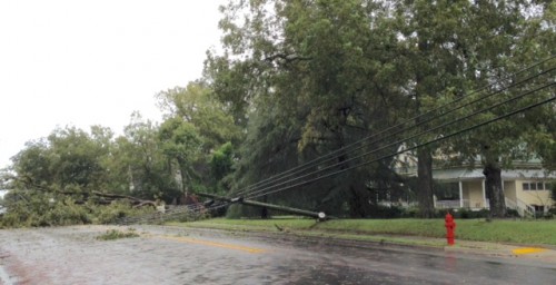 Rain toppled a tree on Vickery St early Sunday in Lavonia pulling down a power line with it.