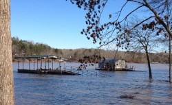 Docks in Gumlog Cove on  Lake Hartwell swamped by recent heavy rainfall and rising lake level.