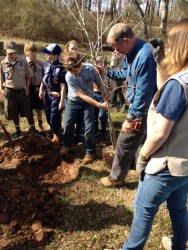 John Shearhouse helps members of Lavonia Scout Pack 51 plant a Red Maple tree in Lavonia City Park