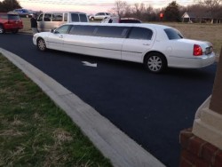 Limos delivered guests to the Night to Shine prom Friday night at the Swails Center in Franklin Springs