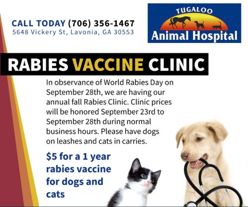 low cost rabies vaccine for dogs