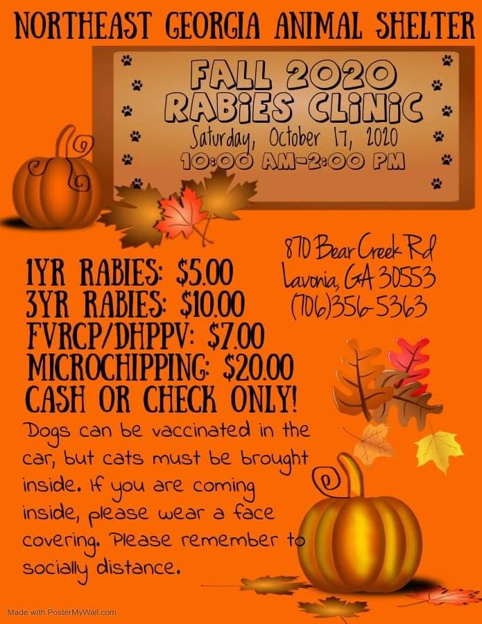 Northeast Georgia Animal Shelter Rabies Clinic Rescheduled ...